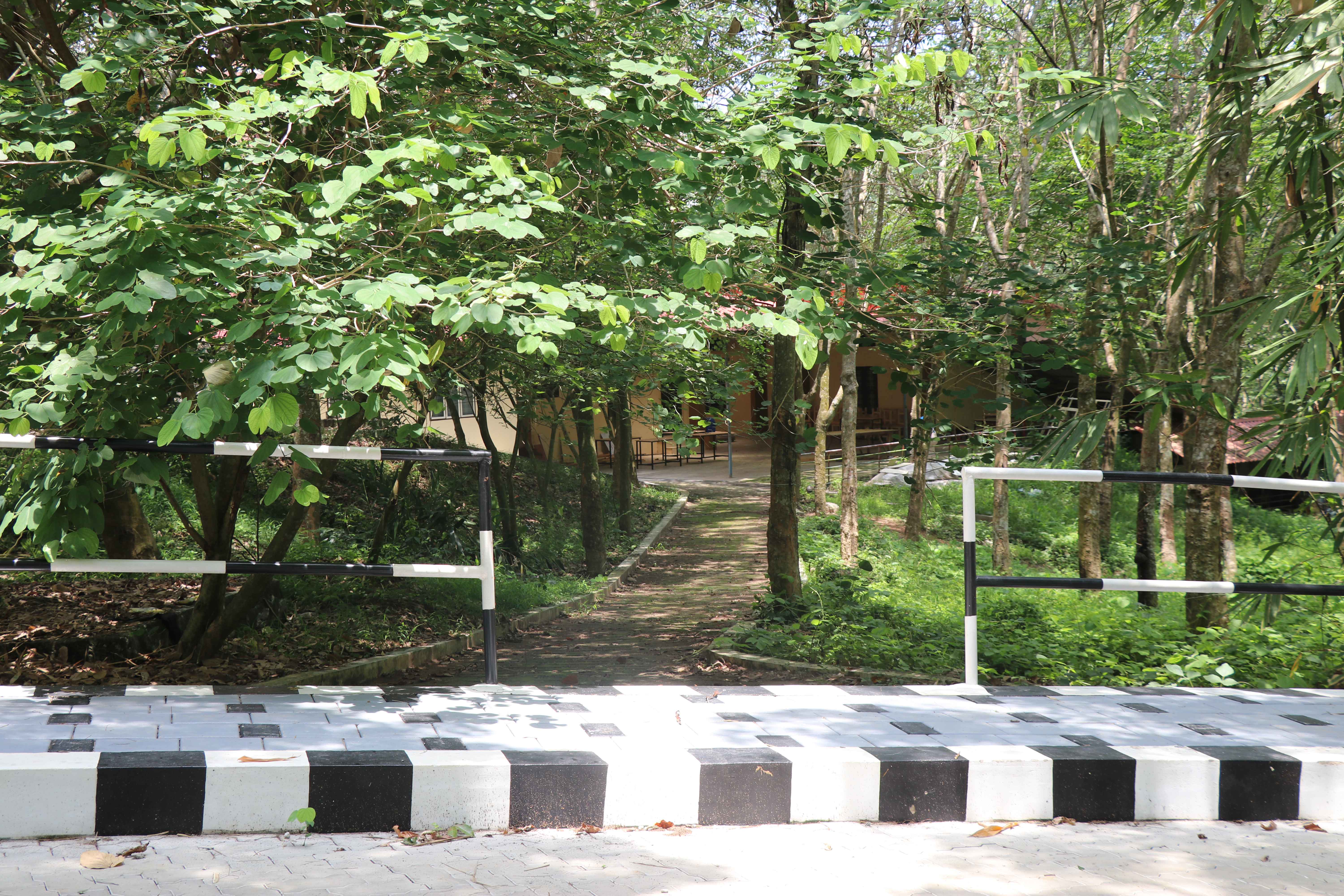 Green Pedestrian Friendly Pathway